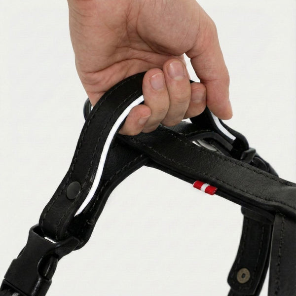 With handle
