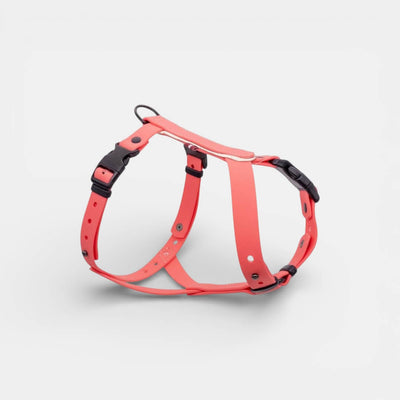 EasyFit Anatomical Waterproof Dog Harness - Brown