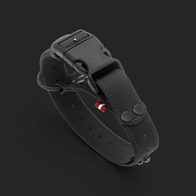 EasyFit Vedenkestävä Koiranpanta – Musta