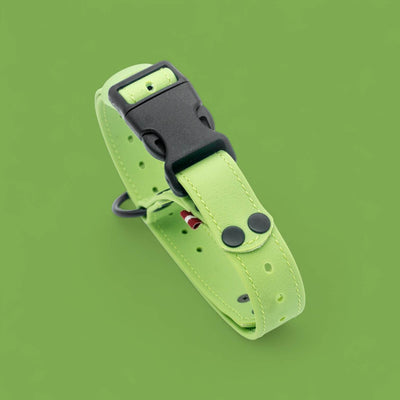 EasyFit waterproof collar for dogs - Lime mint green