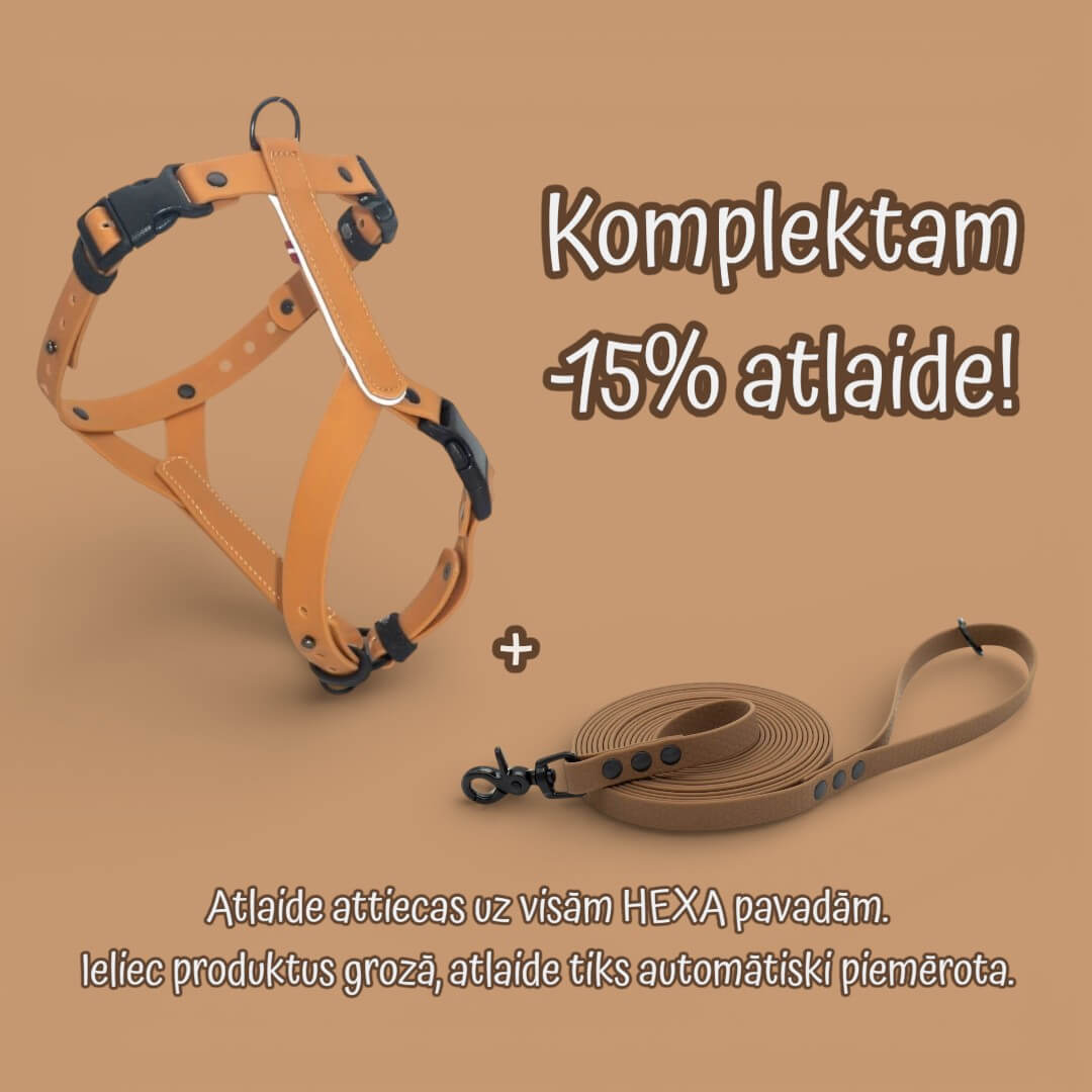 EasyFit Anatomical Waterproof Dog Harness - Brown