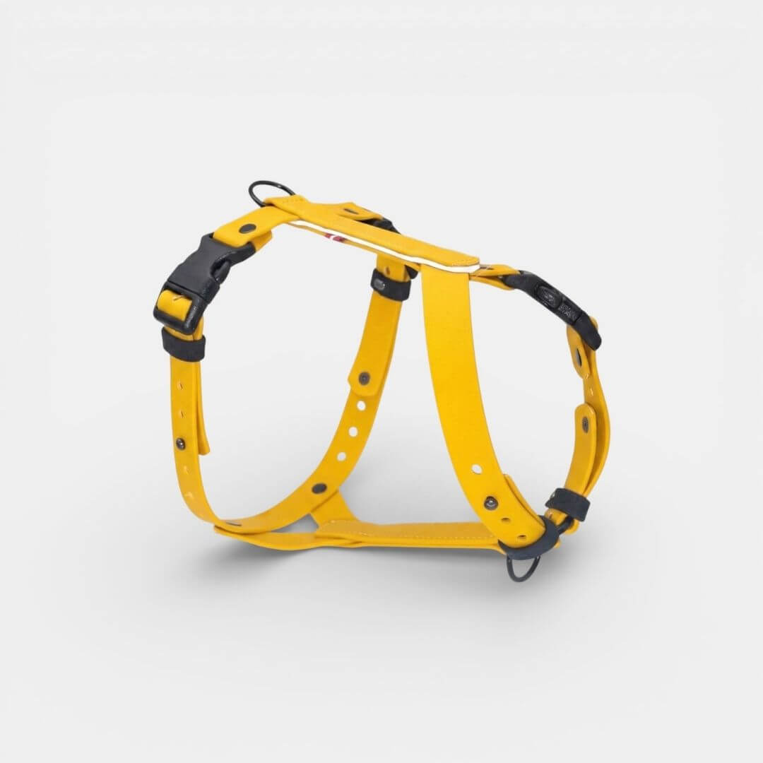 EasyFit Anatomical Waterproof Dog Harness - Brown