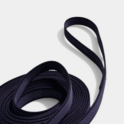 Classic Nylon Dog Leash with Anti-Slip Grip