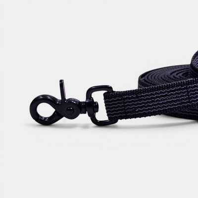 Classic Nylon Dog Leash with Anti-Slip Grip