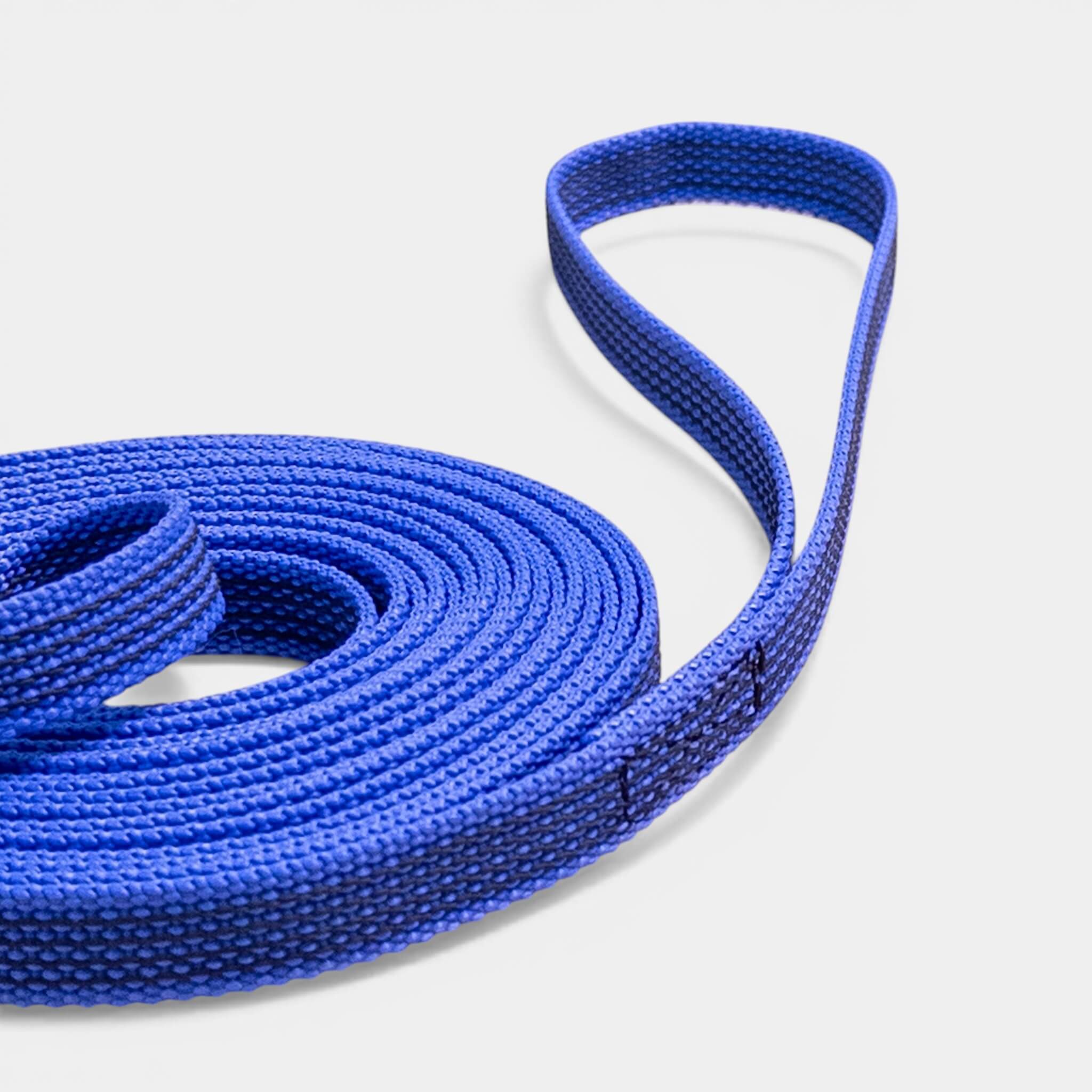 Classic Nylon Dog Leash with Anti-Slip Grip