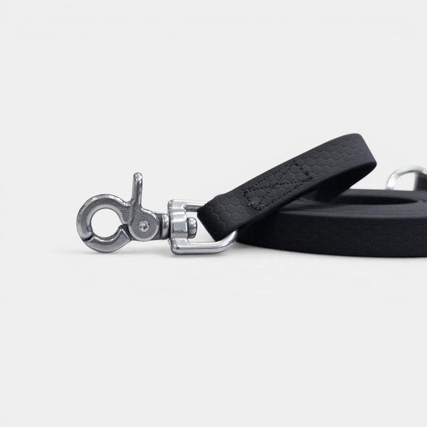 A classic leash