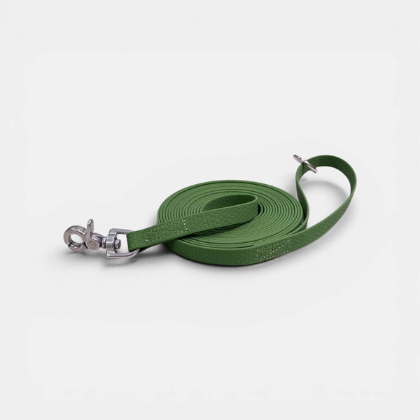 Hexa Dog Walking Leash - Olive