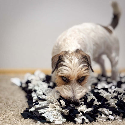 Dog engaging with HEA HOOG snuffle mat, promoting mental stimulation and social responsibility.