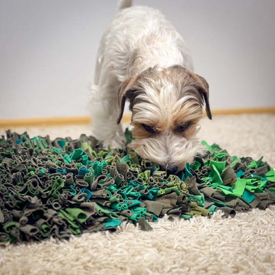 Dog sniffing the Hea Hoog snuffle mat, designed for mental stimulation and skill development.