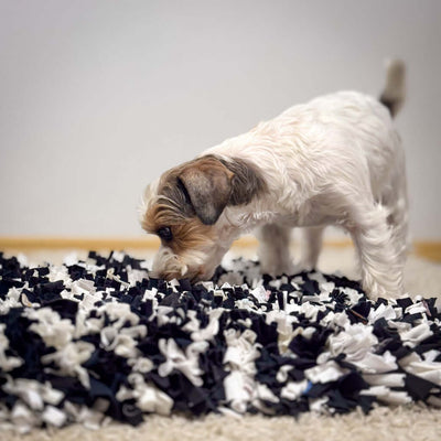 A dog sniffing and playing with a handmade sensory rug on the floor.