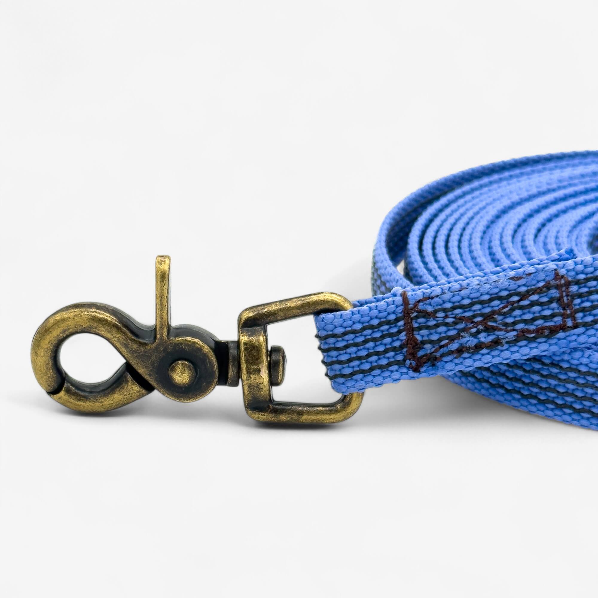 Klasiska pavada suņiem ar pretslīdes gumiju