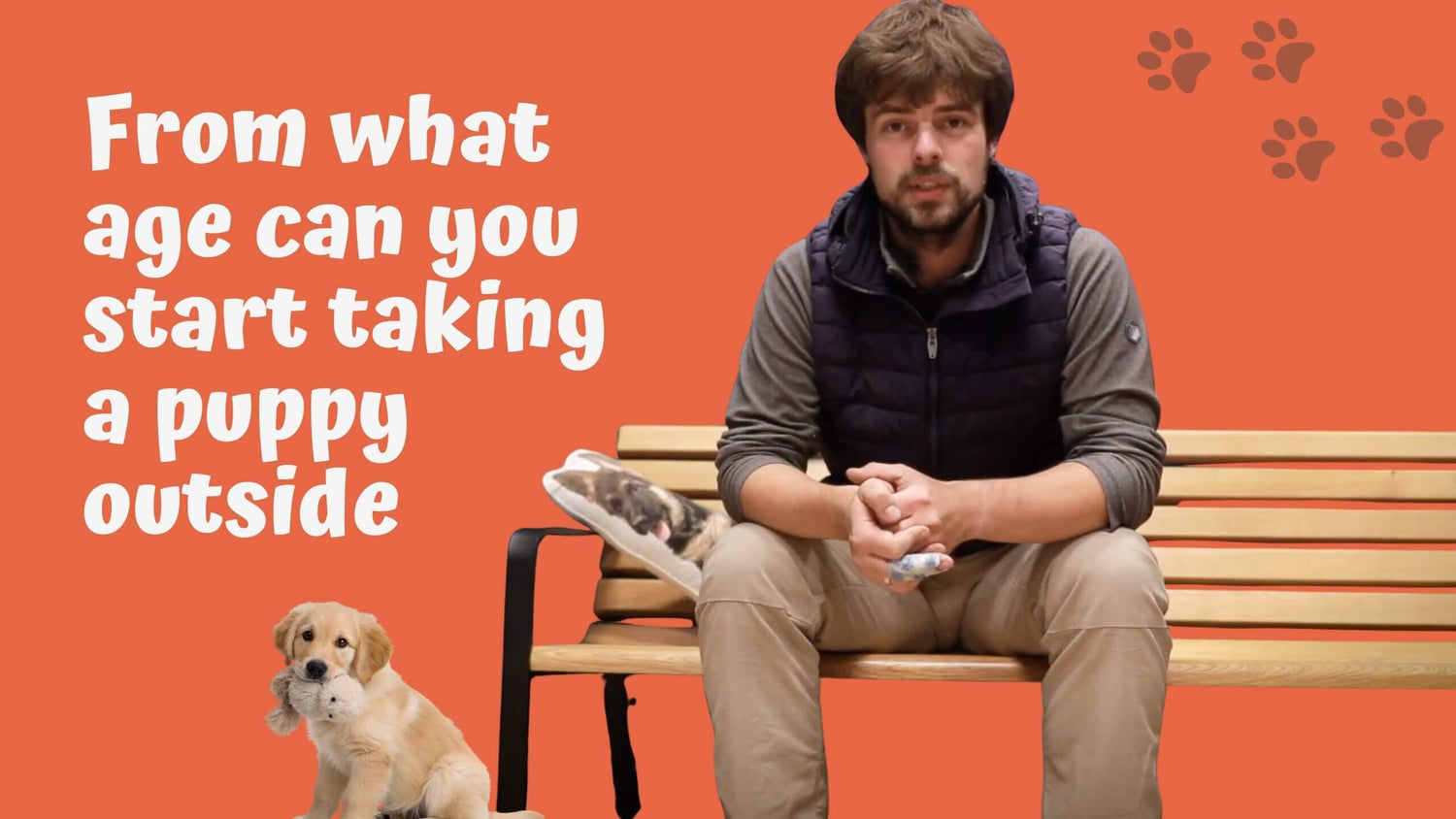 Puppy Quarantine vs. Socialization: Are We Protecting Them or Ruining Them?