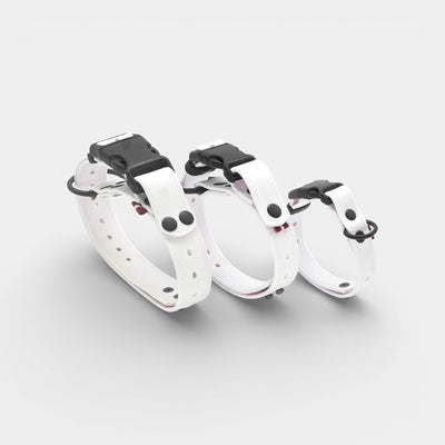 EasyFit waterproof collar for dogs - White