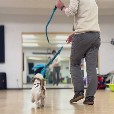 Rumla Spirit Damping Toy with Bizi